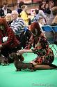 Crufts2011_2 1183